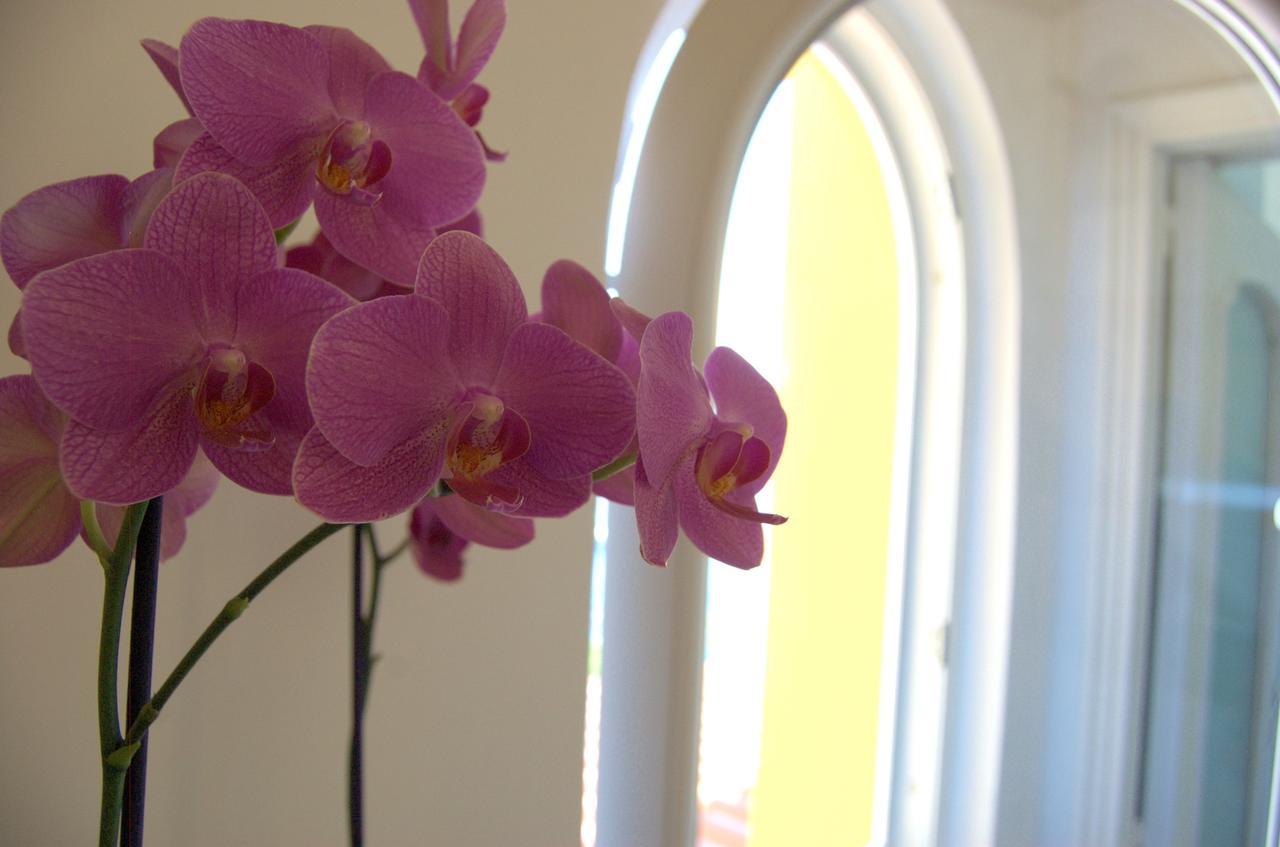 Bed and Breakfast La Terrazza Sul Mare Capri Exterior foto